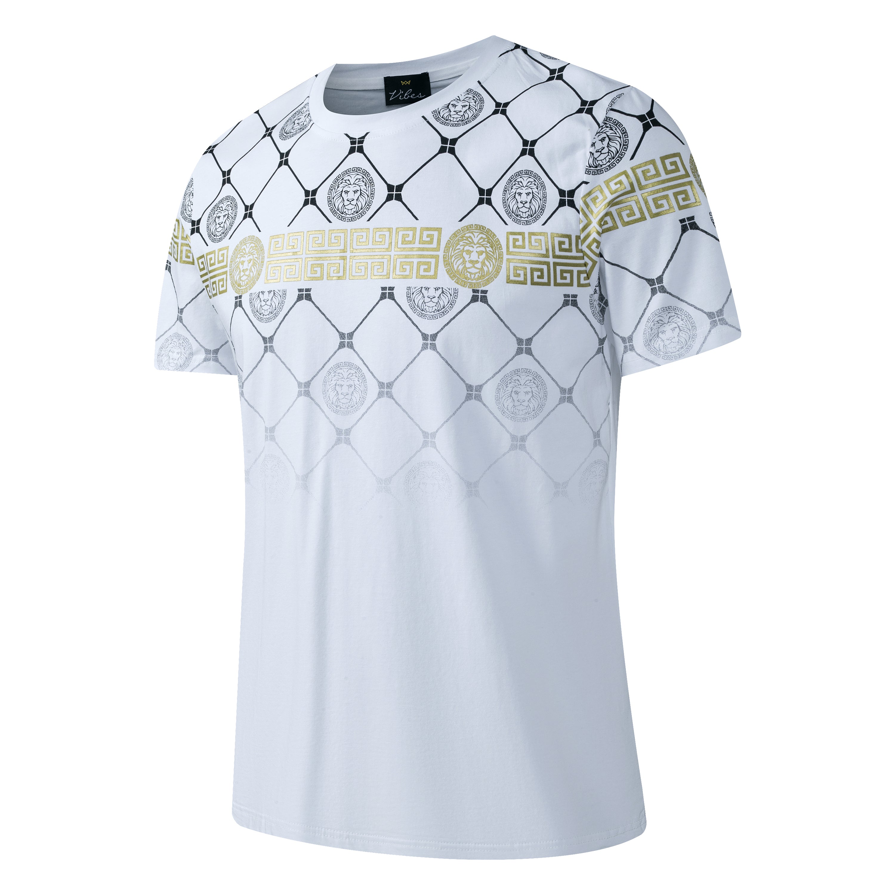 Men's Shorts Set Lion Print Cotton T Shirt + Polyester Shorts Set Tracksuit Summer Design 06