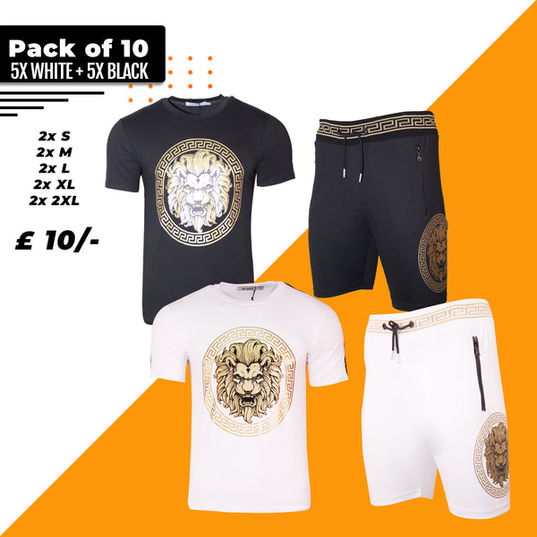 Pack of 10 2 Colours New Mens Cotton T Shirt + Polyester Shorts Set LION PRINT Tracksuit Summer